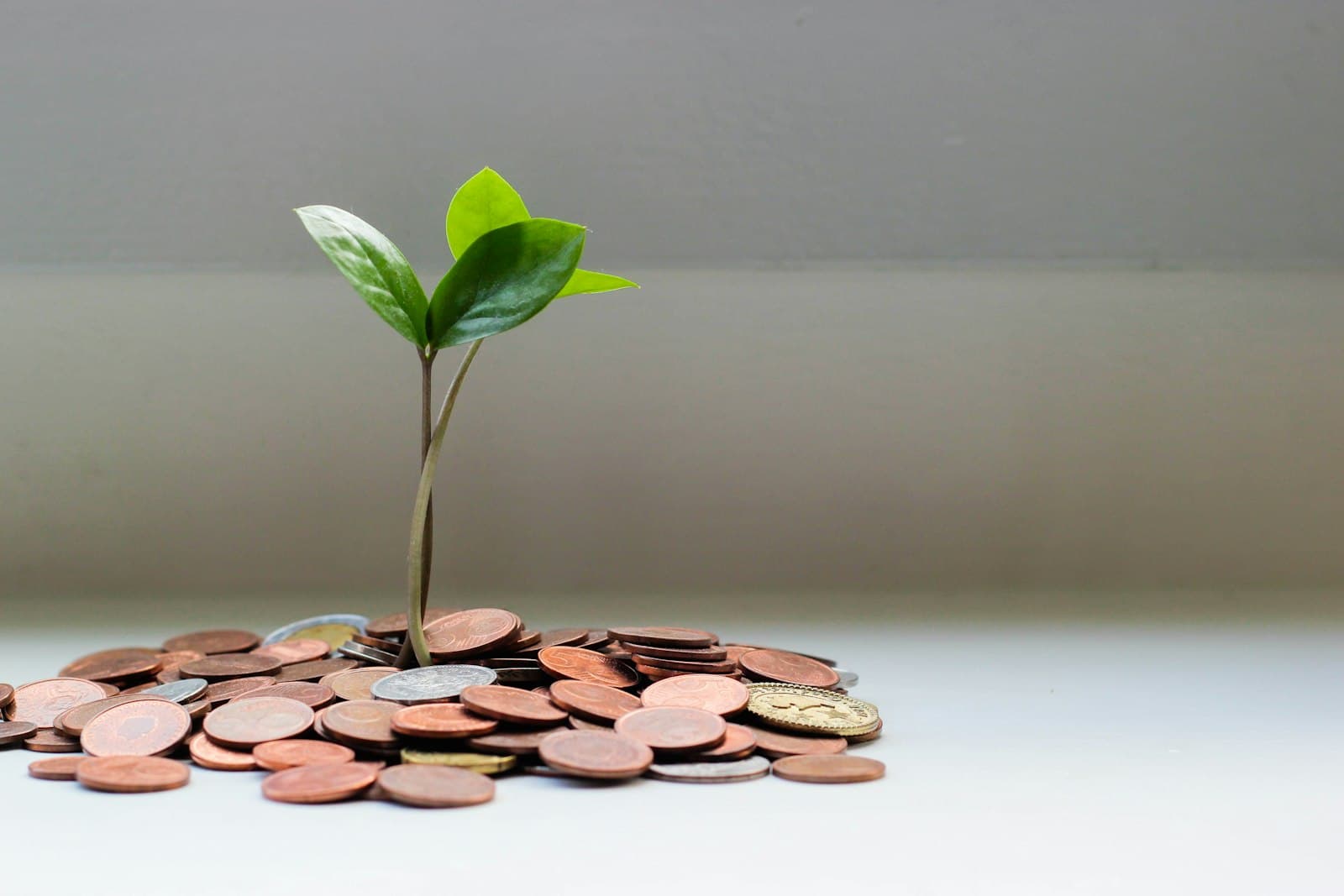 Cash and planning notes for St. Paul accounts receivable